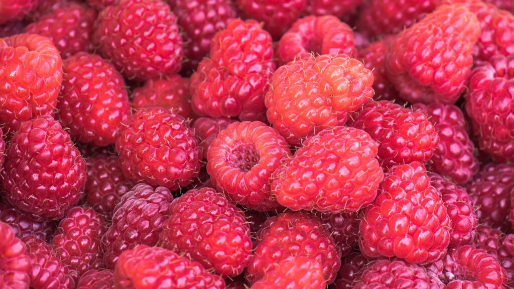raspberries, fruits, food, fresh, healthy, ripe, organic, sweet, produce, green grapes, harvest, vitamins, raspberries, raspberries, raspberries, raspberries, raspberries-3583005.jpg