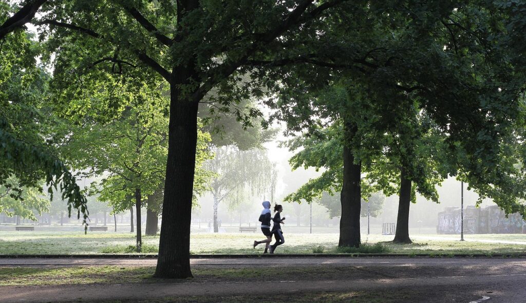 jogging, fitness, jogger, movement, fit, run, park, sport, jog, people, person, sportsman, jogging, jogging, jogging, fitness, fitness, fitness, fitness, fitness, run, run, park, park, park, sport-4211946.jpg