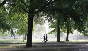 jogging, fitness, jogger, movement, fit, run, park, sport, jog, people, person, sportsman, jogging, jogging, jogging, fitness, fitness, fitness, fitness, fitness, run, run, park, park, park, sport-4211946.jpg